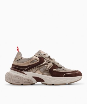 XTI Sneaker 146495 Brown